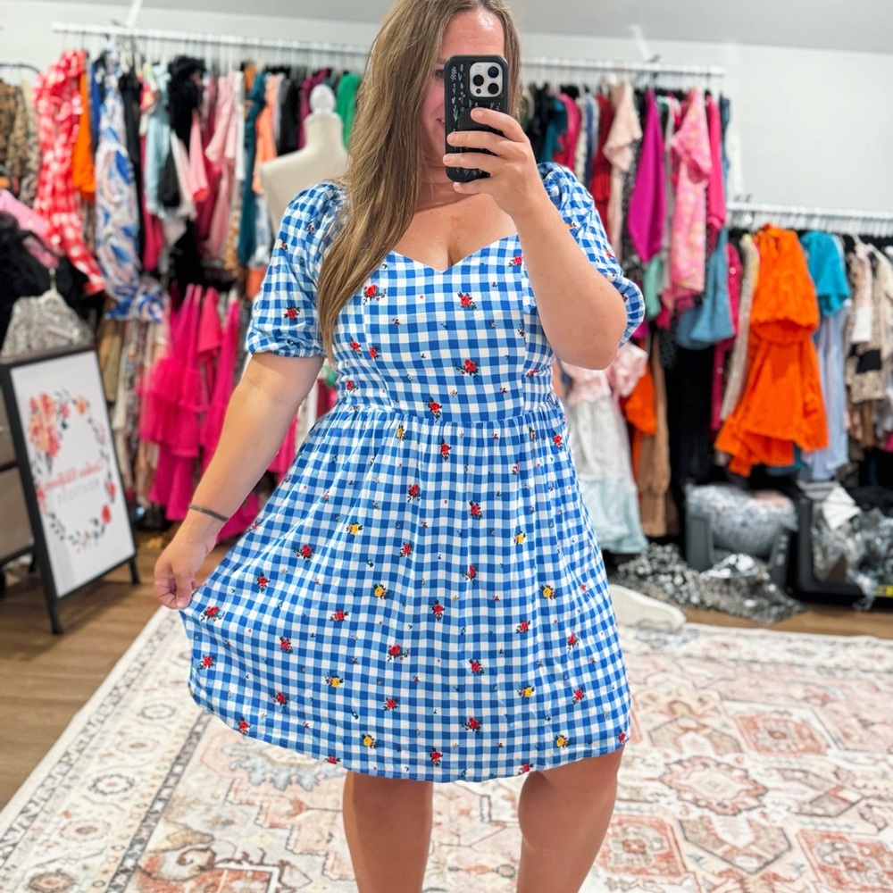Sugarlips Blue and White Gingham Dress